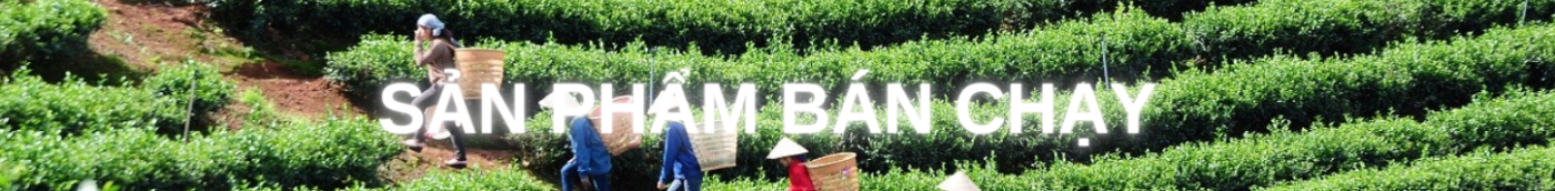 sản phẩm bán chạy