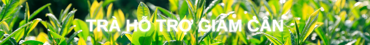 Trà hỗ trợ giảm can