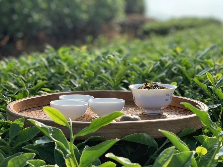 trà đen