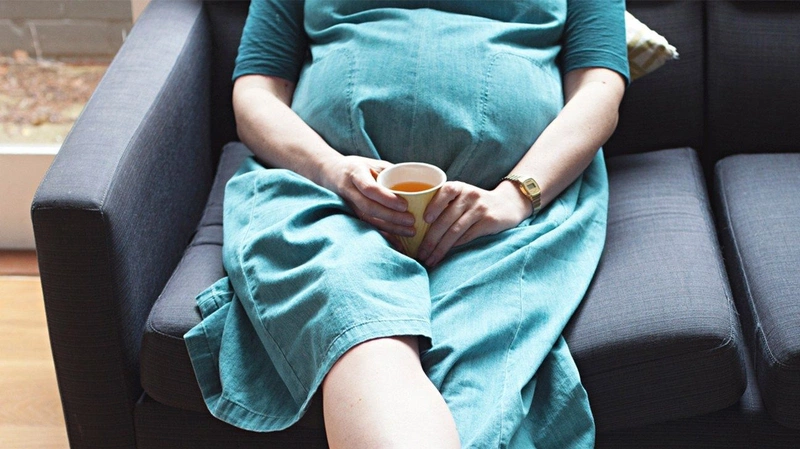 bầu uống trà hoa cúc được không