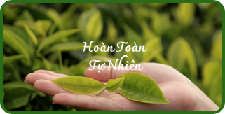 Hoàn toàn từ thiên nhiên