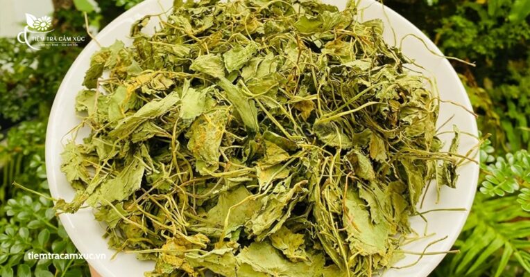 Lưu ý khi sử dụng trà rau má thảo mộc sấy lạnh