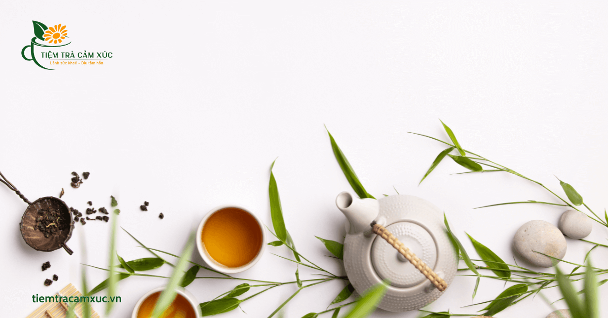 17 loại trà uống dễ ngủ phổ biến hiện nay