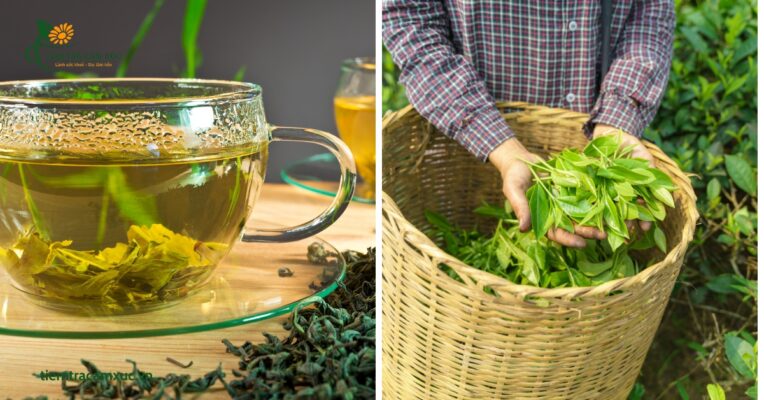 Các loại trà ngon nổi tiếng ở Việt Nam