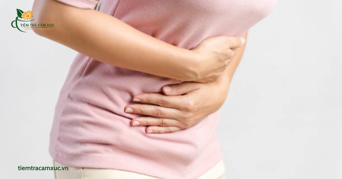 Cải thiện hệ tiêu hóa, giảm đầy hơi và khó tiêu