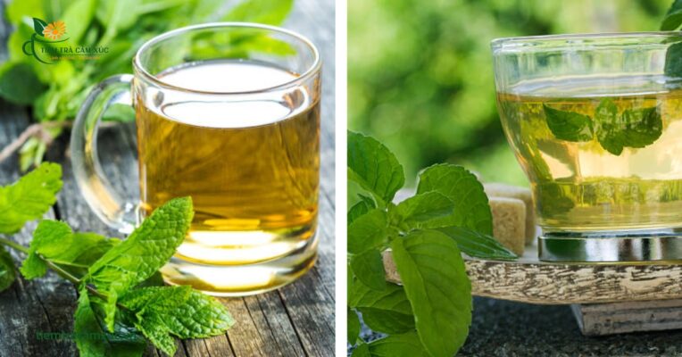 Công thức mix trà dưỡng tâm bạc hà độc đáo