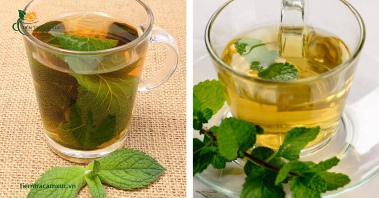 Đối tượng sử dụng và lưu ý quan trọng