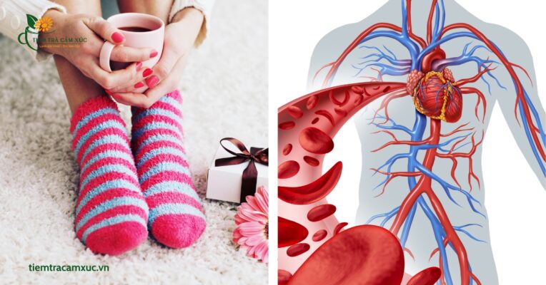 Giữ ấm cơ thể và tăng cường tuần hoàn máu