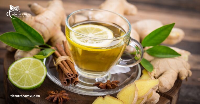 Kết luận tác dụng của Trà Gừng