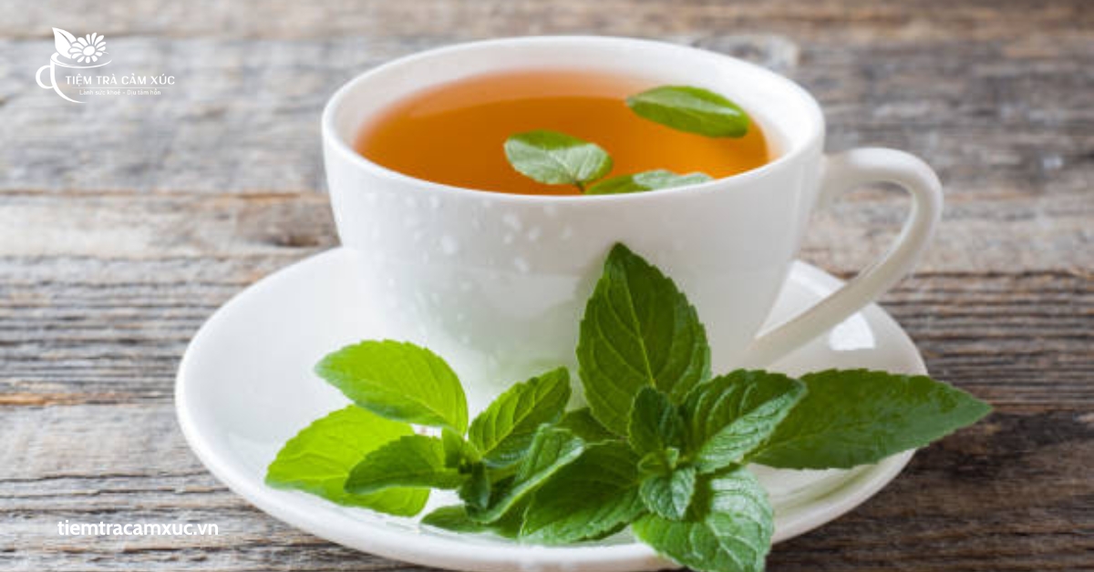 Pha trà bạc hà từ lá tươi