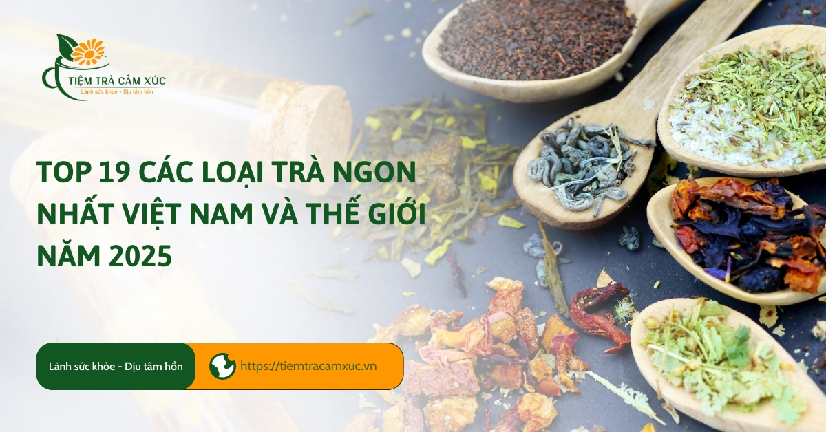 TOP 19 các loại trà ngon nhất Việt Nam và Thế Giới năm 2025