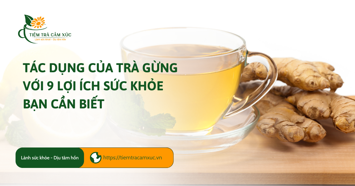 Tác dụng của trà Gừng