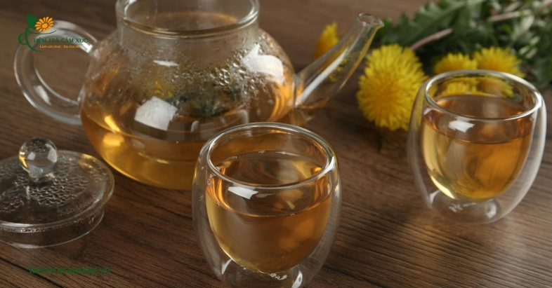 Tác dụng của Trà Hoa Cúc
