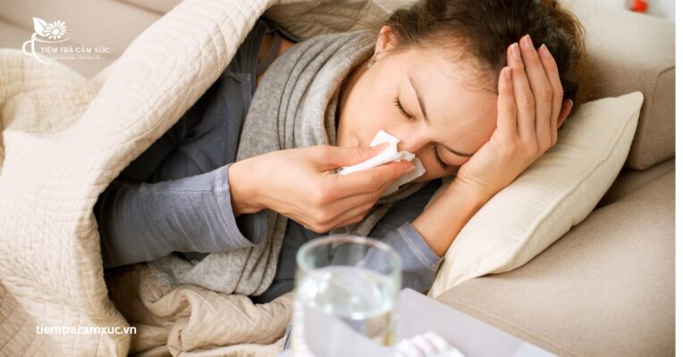 Trà Táo Đỏ Có Tác Dụng Gì Giúp Phòng Bệnh Hiệu Quả