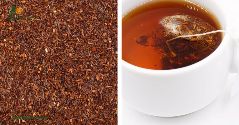 Trà Rooibos – Nam Phi