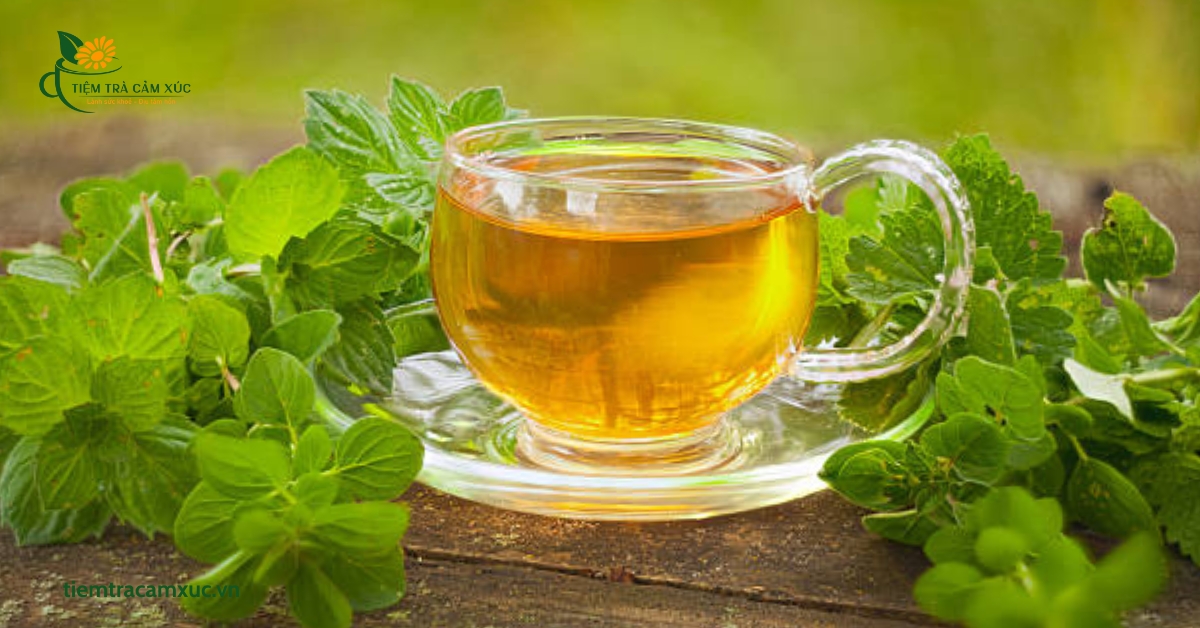 Trà dưỡng tâm Bạc Hà