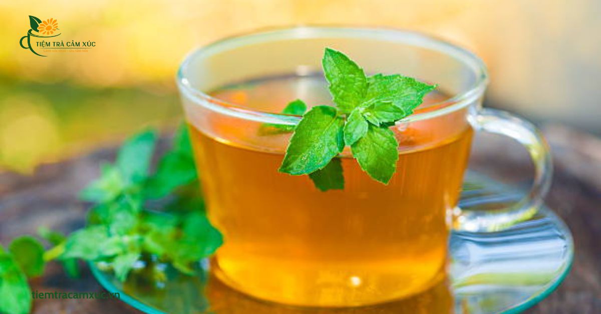 Trà dưỡng tâm bạc hà là gì?