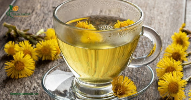 Trà dưỡng tâm hoa cúc an thần có tác dụng gì?