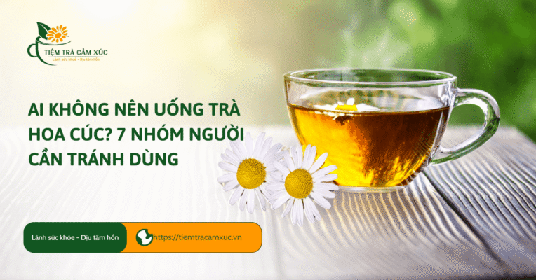 Ai không nên uống trà hoa cúc 7 nhóm người cần tránh dùng