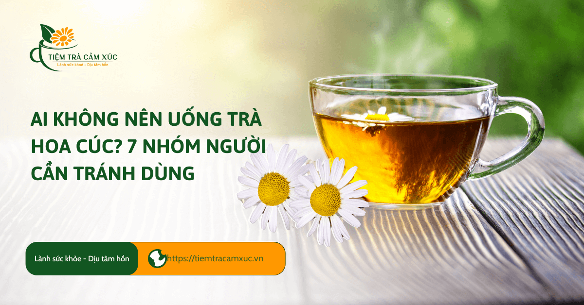 Ai không nên uống trà hoa cúc 7 nhóm người cần tránh dùng