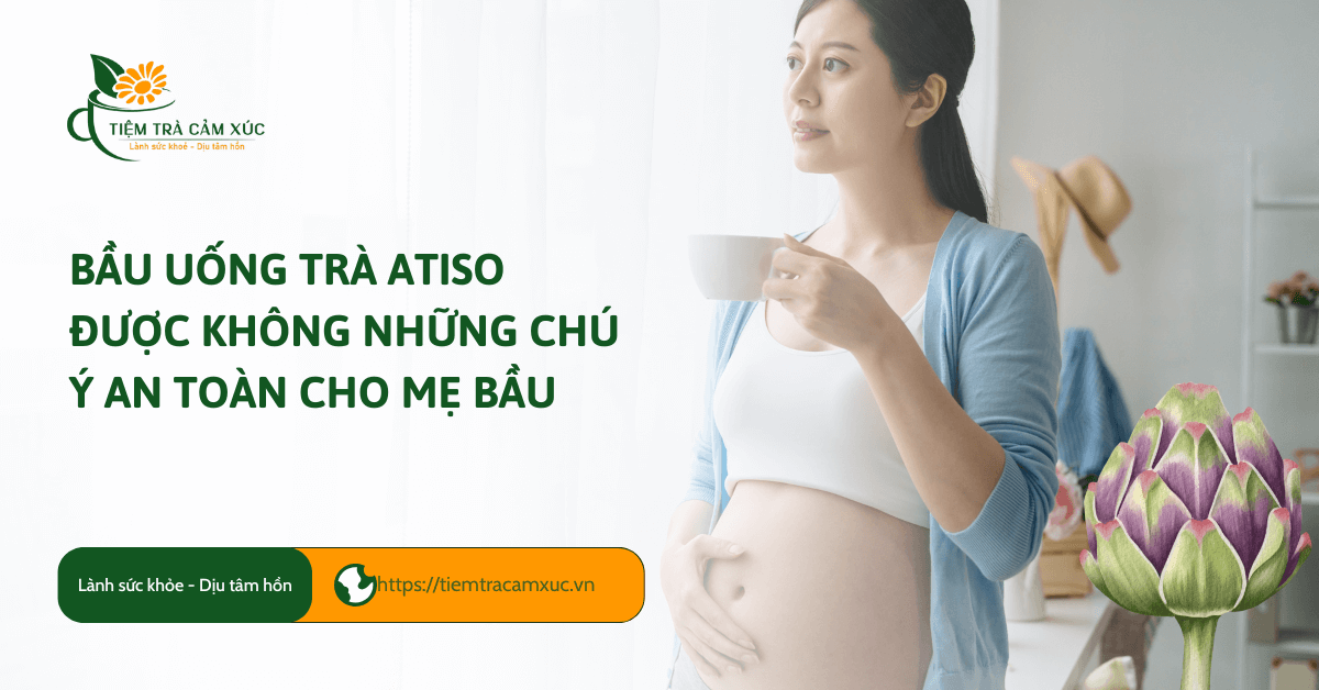 bầu uống trà atiso được không