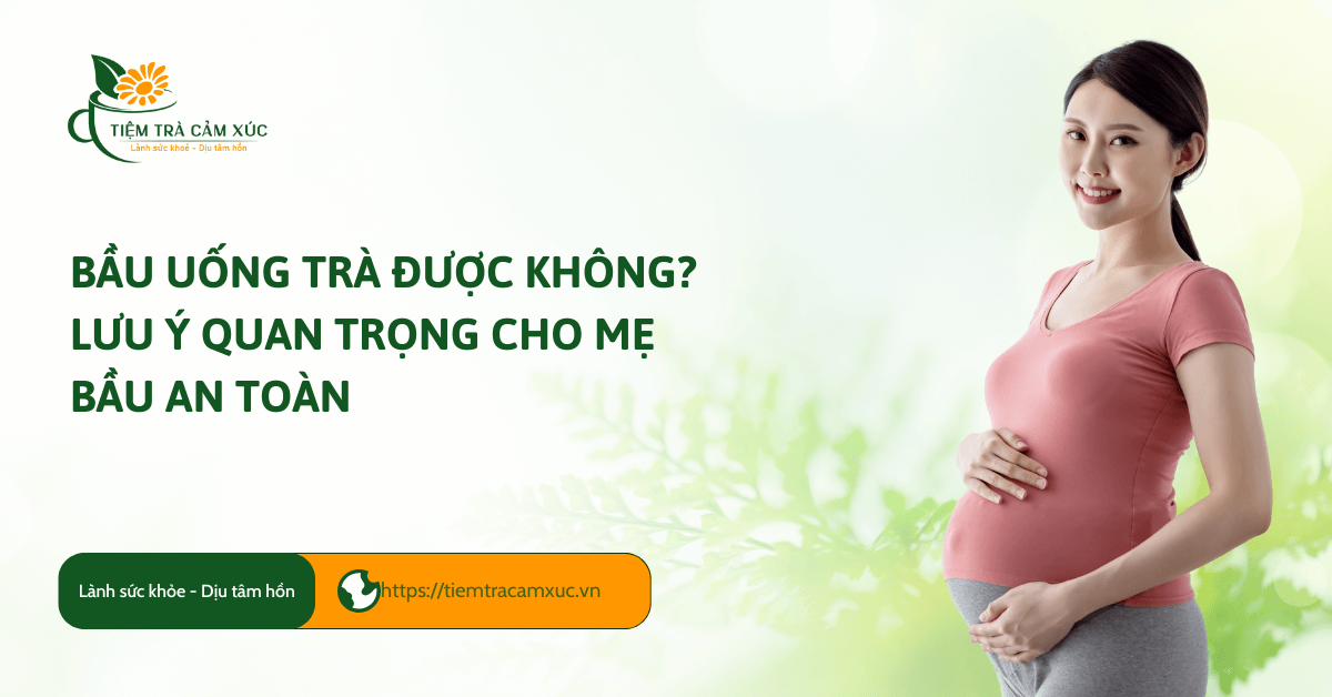 Bầu uống trà được không? Lưu ý quan trọng cho mẹ bầu AN TOÀN