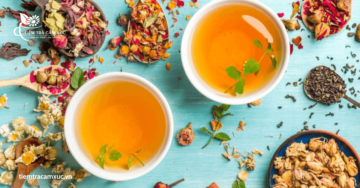 Các câu hỏi thường gặp