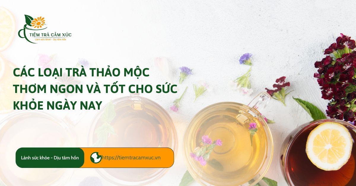 Các loại trà thảo mộc