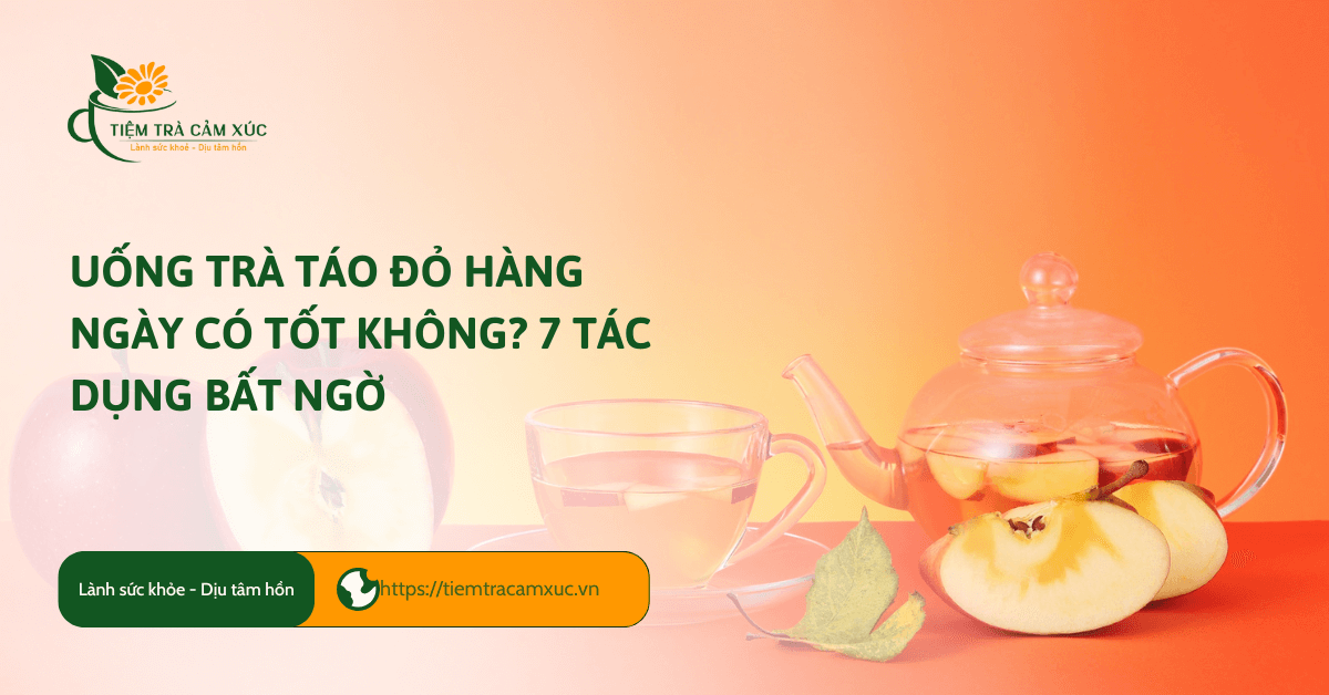 Uống trà táo đỏ hàng ngày có tốt không? 7 tác dụng bất ngờ