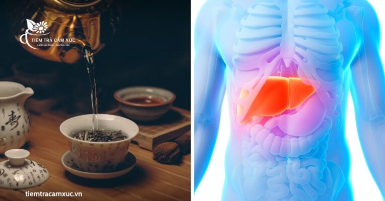 Trà phổ biến làm dịu gan lại