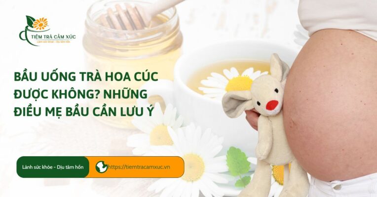 Trà hoa cúc