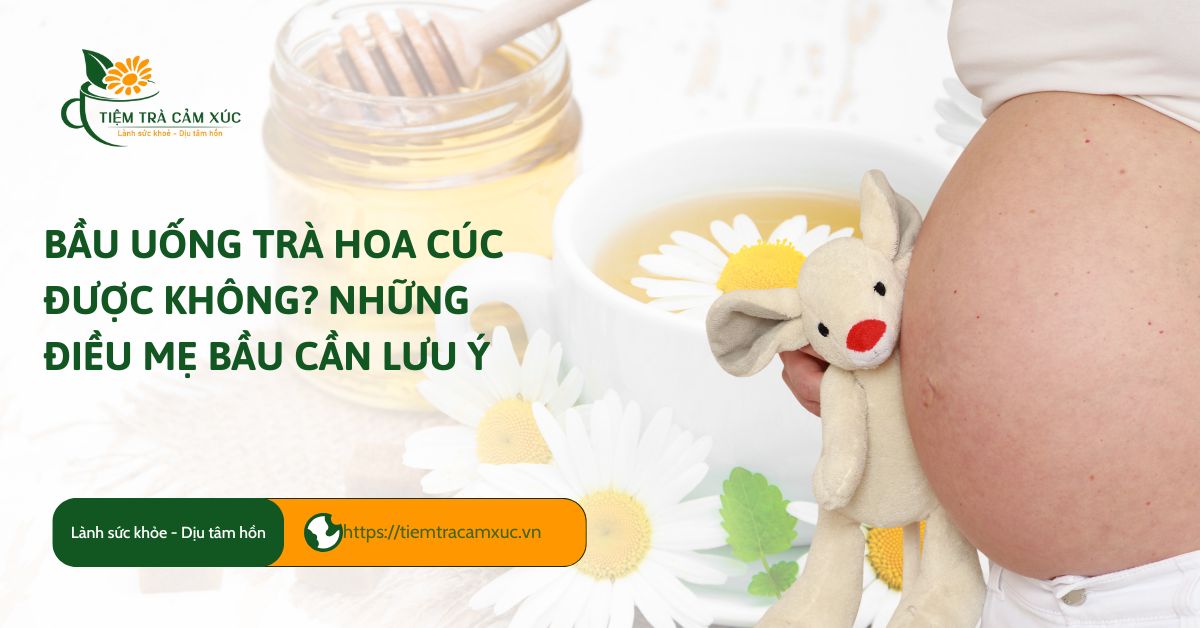 Trà hoa cúc