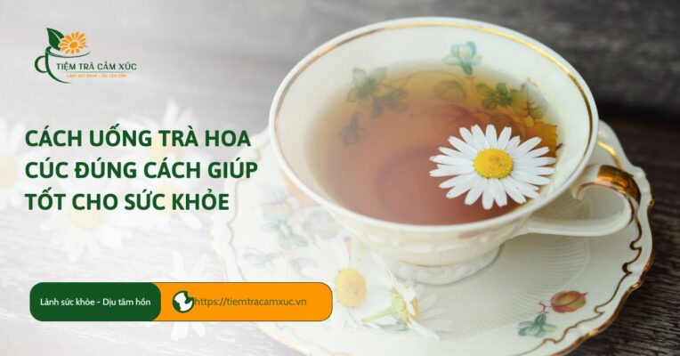 Cách uống trà hoa cúc đúng cách giúp tốt cho SỨC KHỎE