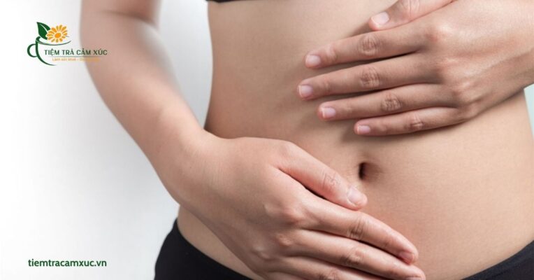 Tăng cường hệ miễn dịch và chống lão hóa da