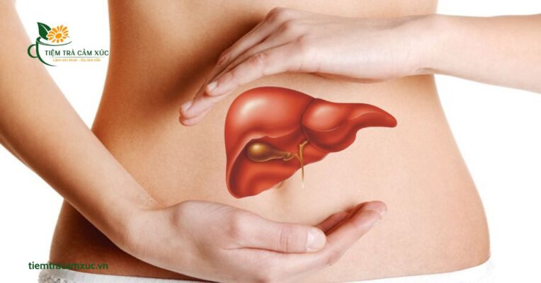 Cải thiện hệ tiêu hóa và chức năng gan