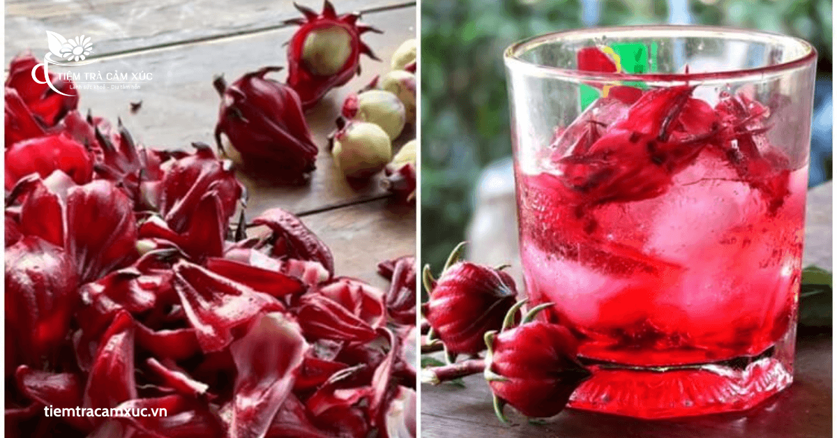 Đặc điểm của trà Atiso xanh và trà Atiso đỏ