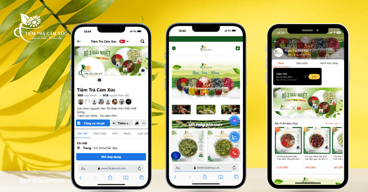 Dịch vụ tư vấn và tận tâm