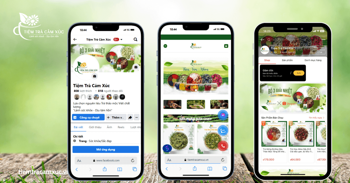 Dịch vụ tư vấn và hướng dẫn tận tâm
