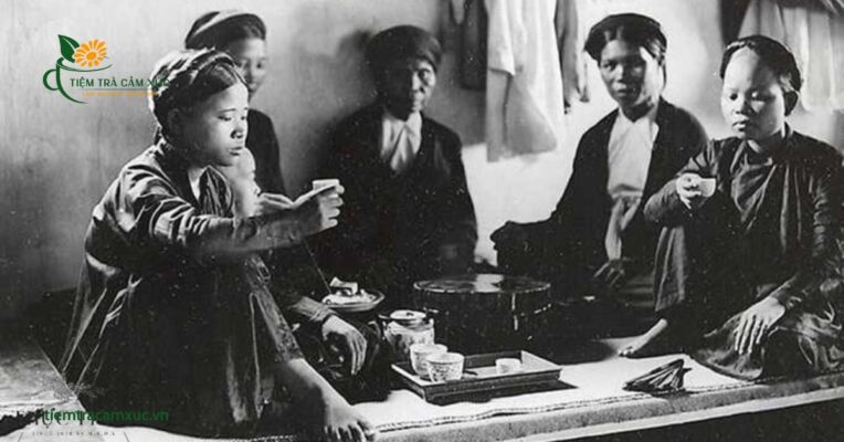 Giới thiệu về trà và vai trò trong đời sống
