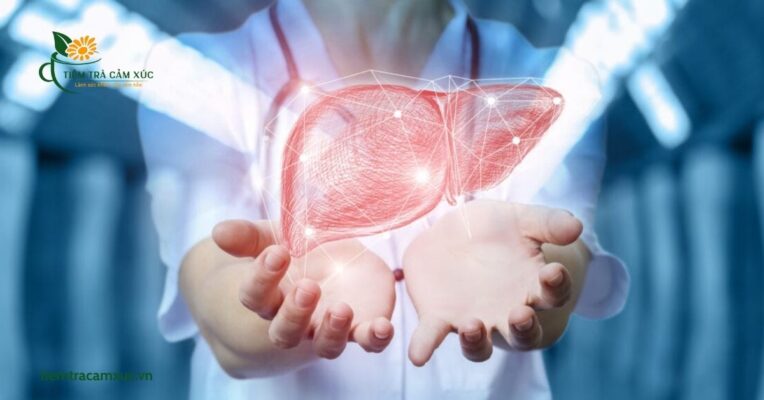 Hỗ trợ giải độc cơ thể và cải thiện chức năng gan