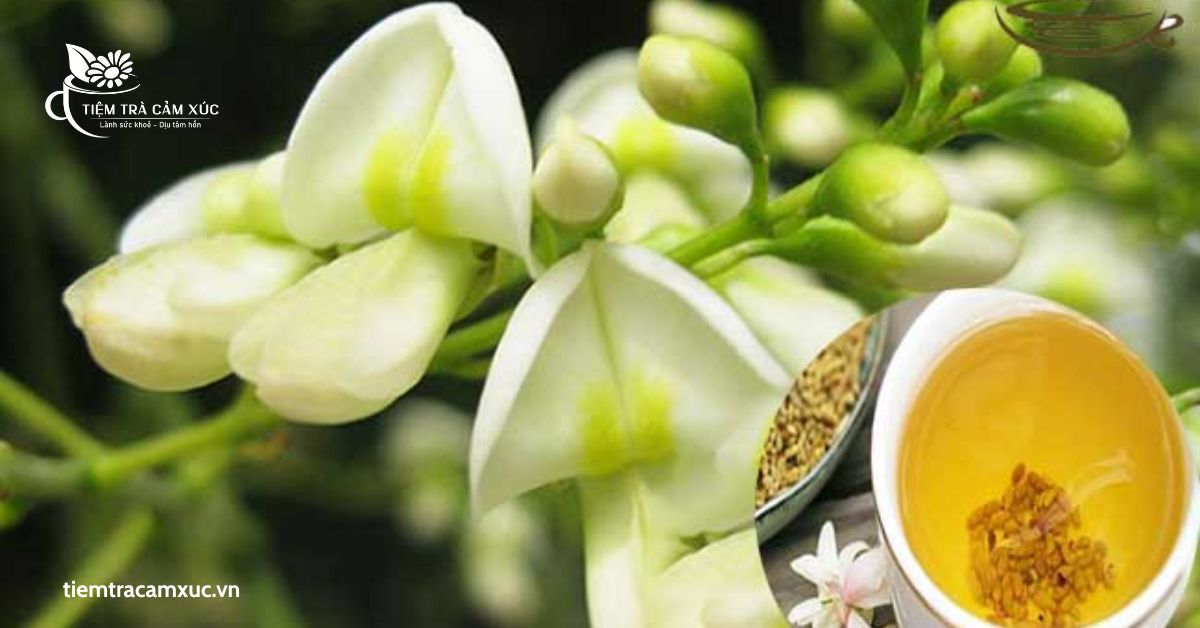 Trà hoa hòe được nấu xong