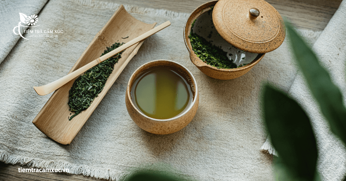 Hướng dẫn sử dụng trà uống dễ ngủ đúng cách