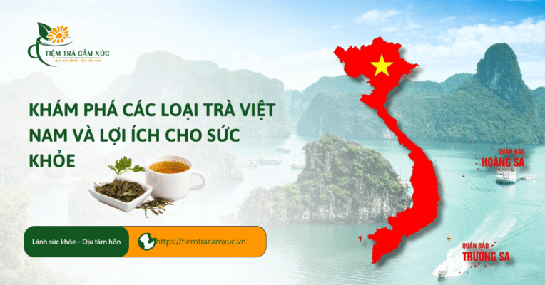Khám phá các loại trà Việt Nam và lợi ích cho sức khỏe