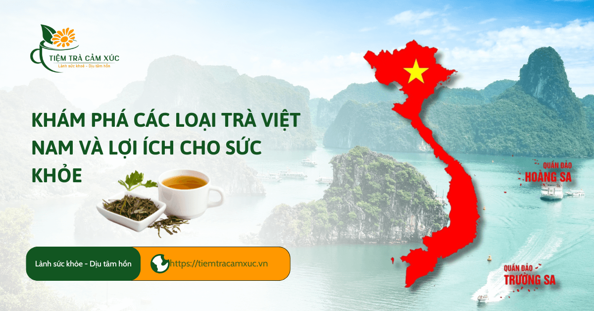 Khám phá các loại trà Việt Nam và lợi ích cho sức khỏe