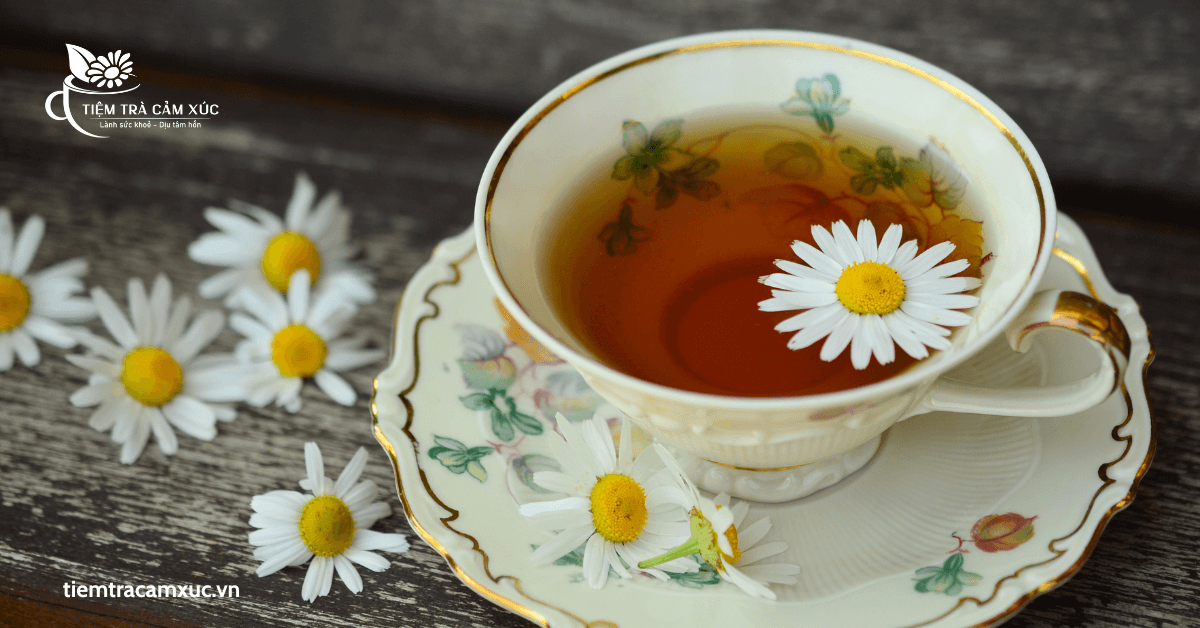 Một số câu hỏi thường gặp