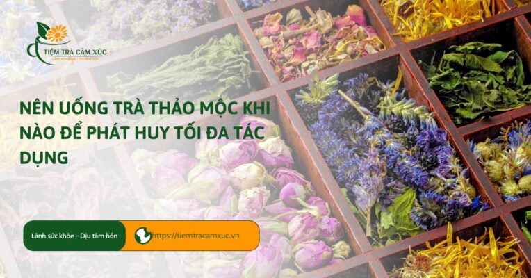 nên uống trà thảo mộc khi nào