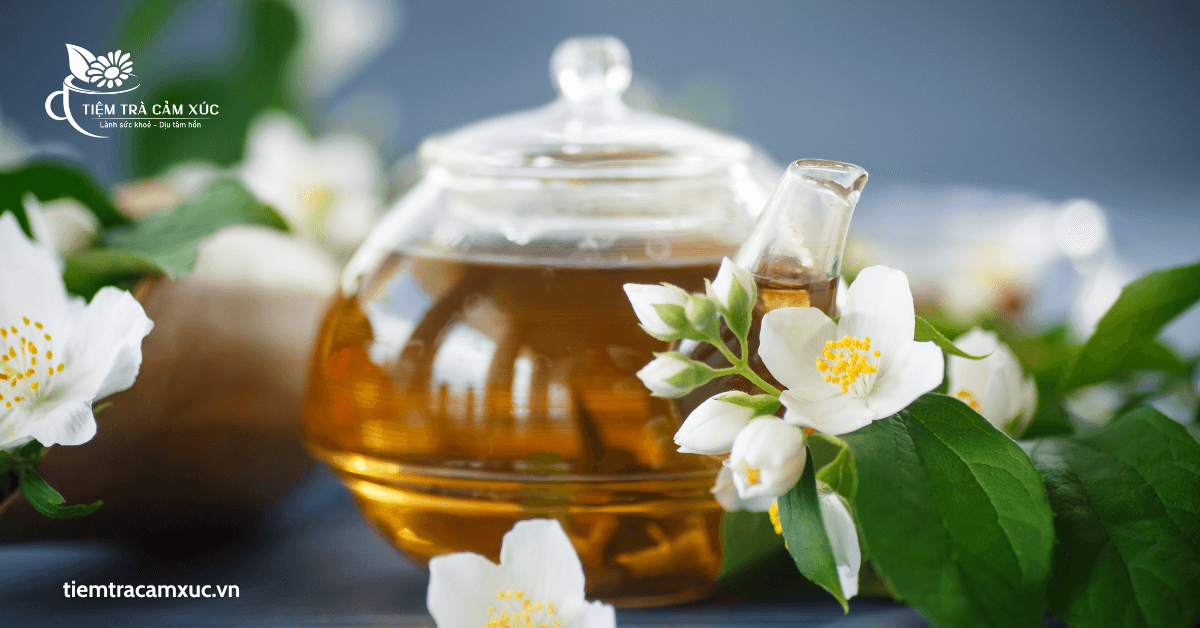 Những trường hợp nào không nên sử dụng trà hoa nhài?