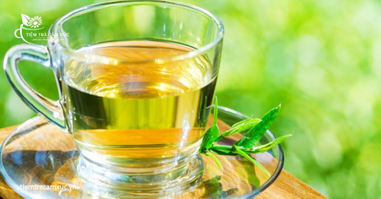 Tác hại khi uống trà thanh nhiệt nhiều hoặc sai cách