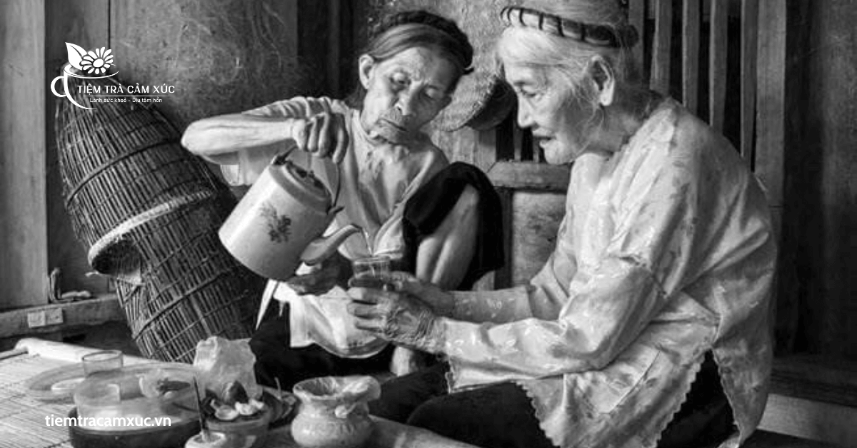 Tầm quan trọng của trà trong lối sống người Việt