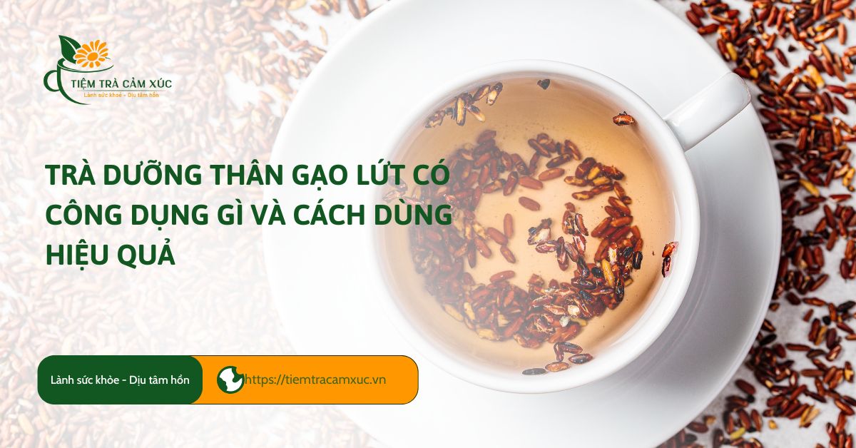 Trà dưỡng thân gạo lứt có công dụng gì và cách dùng HIỆU QUẢ